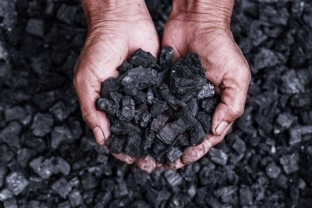 Biochar: guía completa