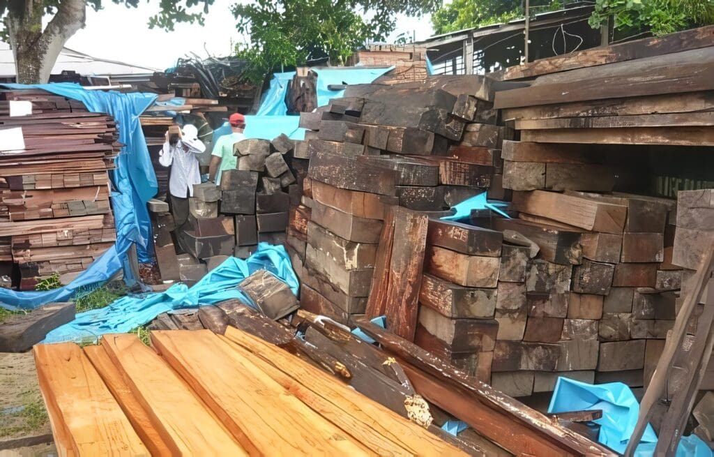 Usos del Recurso Forestal, Permisos y Concesiones – Decreto 0877 76