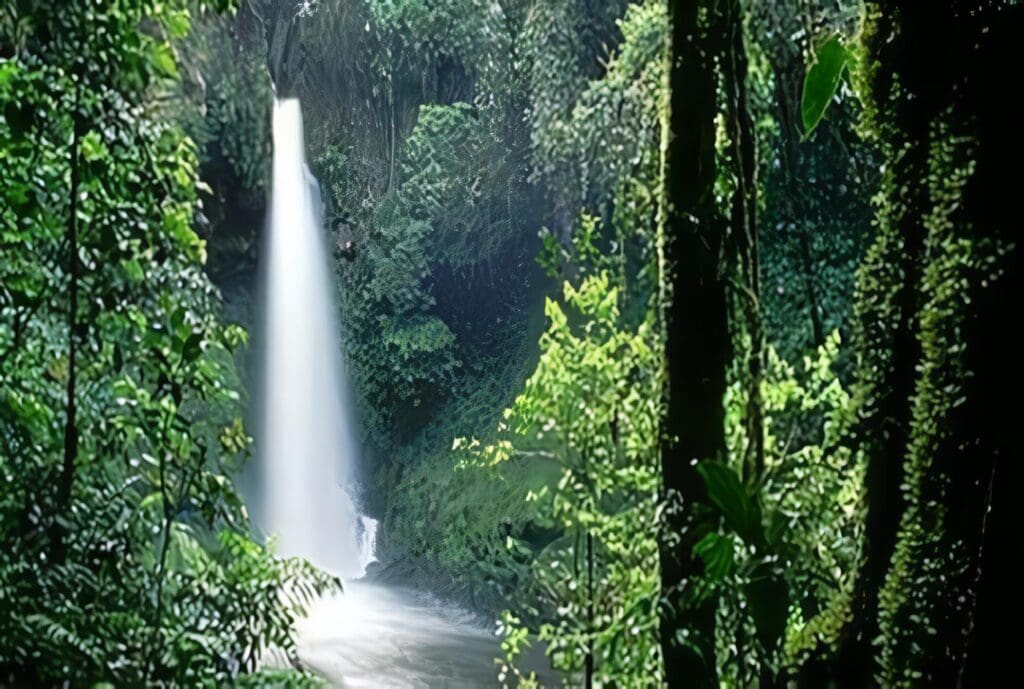 Áreas Forestales Protectoras – Decreto 1449 77