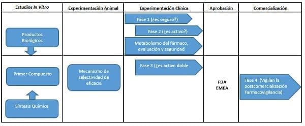  Procedimiento de desarrollo de un medicamento