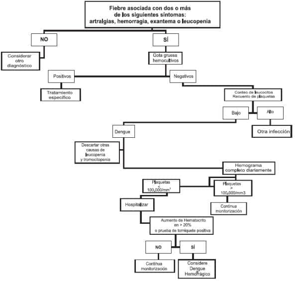 Evaluación del paciente con dengue