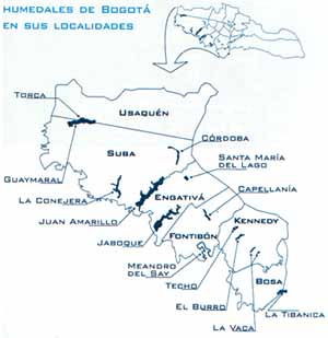 Humedales de Bogotá en sus Localidades