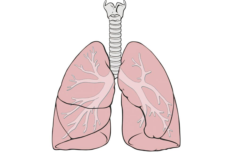 Diagnóstico y Estadificación de Cáncer Pulmonar
