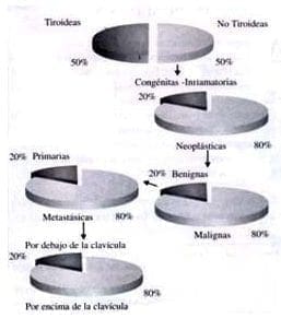 Algoritmo del origen de las masas cervicales