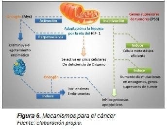 Mecanismos para el Cáncer