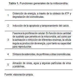 Funciones Generales de la Mitocondria