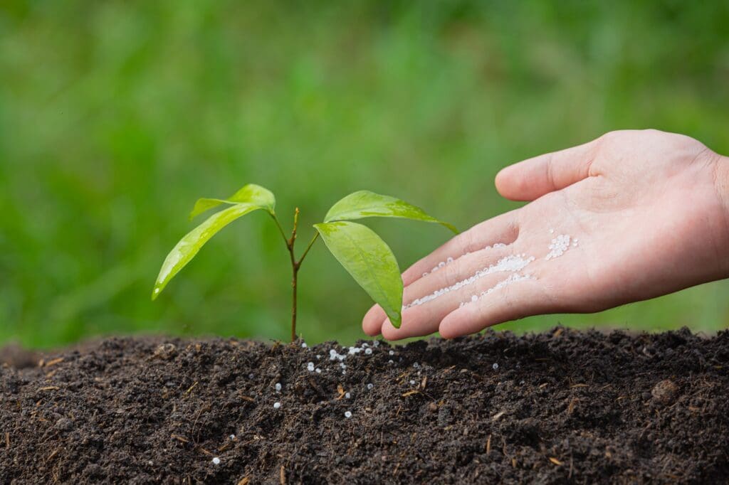 Biofertilizantes: guía sobre el abono natural microbiológico