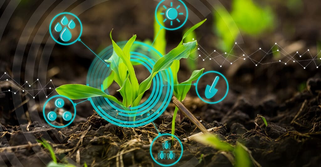 Medidas para Manejo de Plagas y Enfermedades en Agricultura