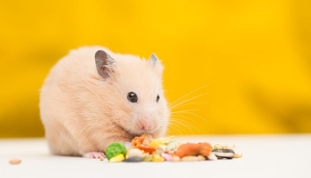 Mejores Alimentos Naturales para Hámsters