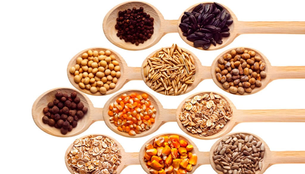 Qué son los cereales, tipos, importancia y ejemplos