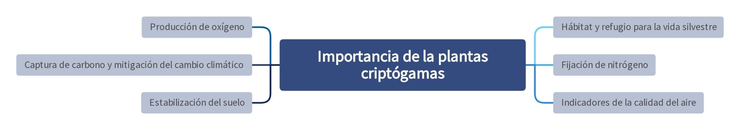 Importancia de la plantas criptógamas